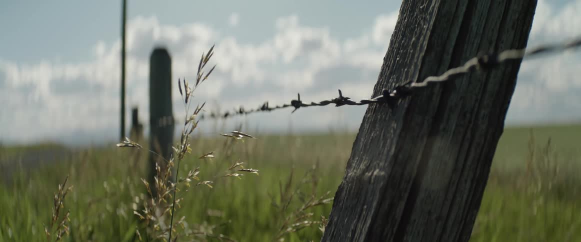 A barbed wire fence in a grassy countryside