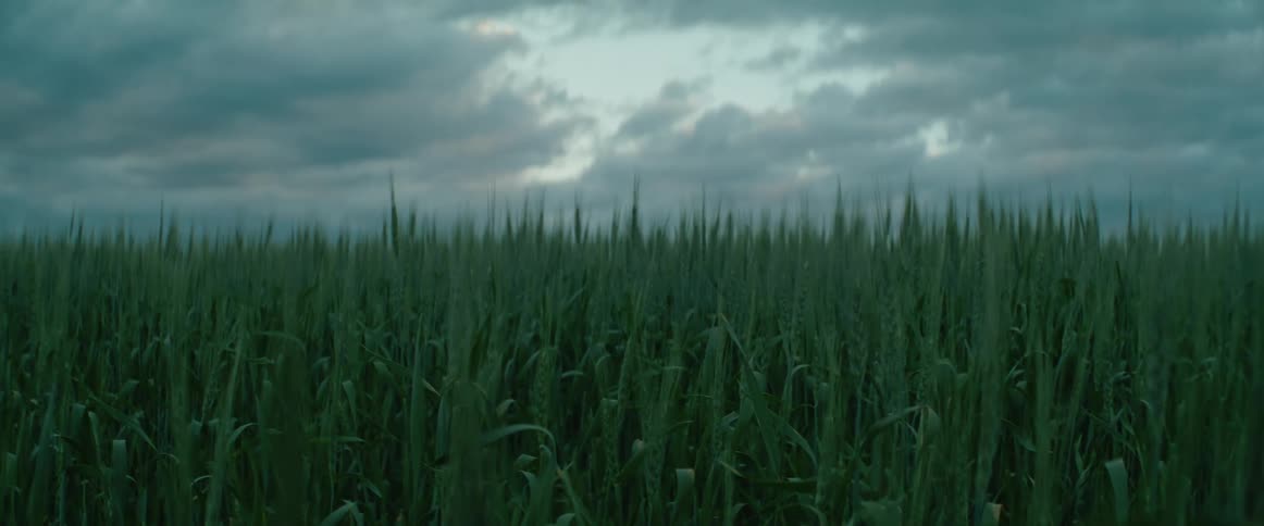 Stormy clouds cover a large area of grass in the evening