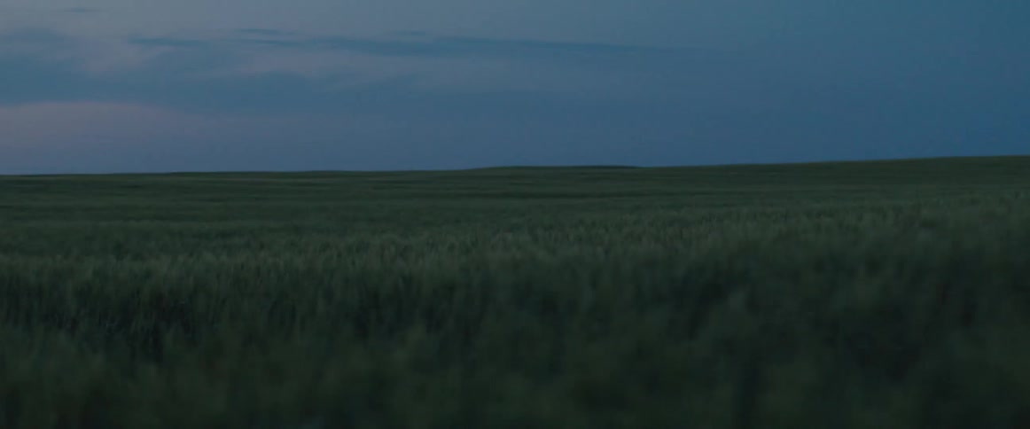 Sweeping view of endless grassy fields at dusk