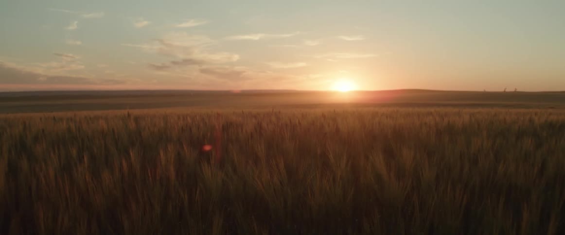 The sun setting over the hills behind a wheat field