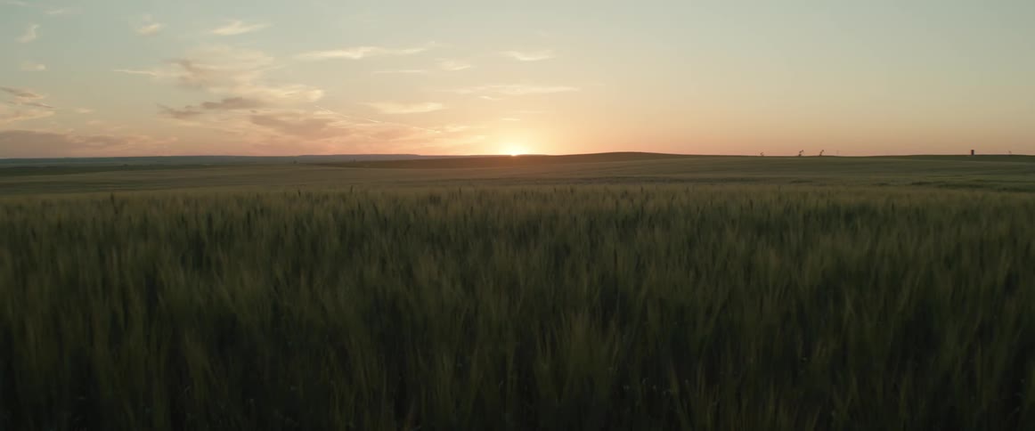 Sun setting over the hills on a calm day over a wheat field in the countryside