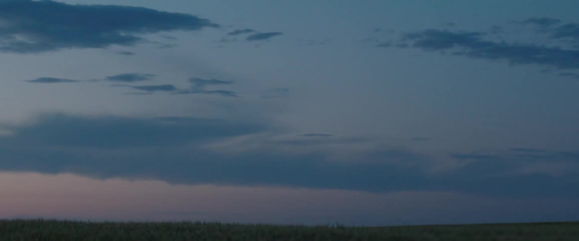 Red colors the sky over a section of horizon on edge of grassland in the evening