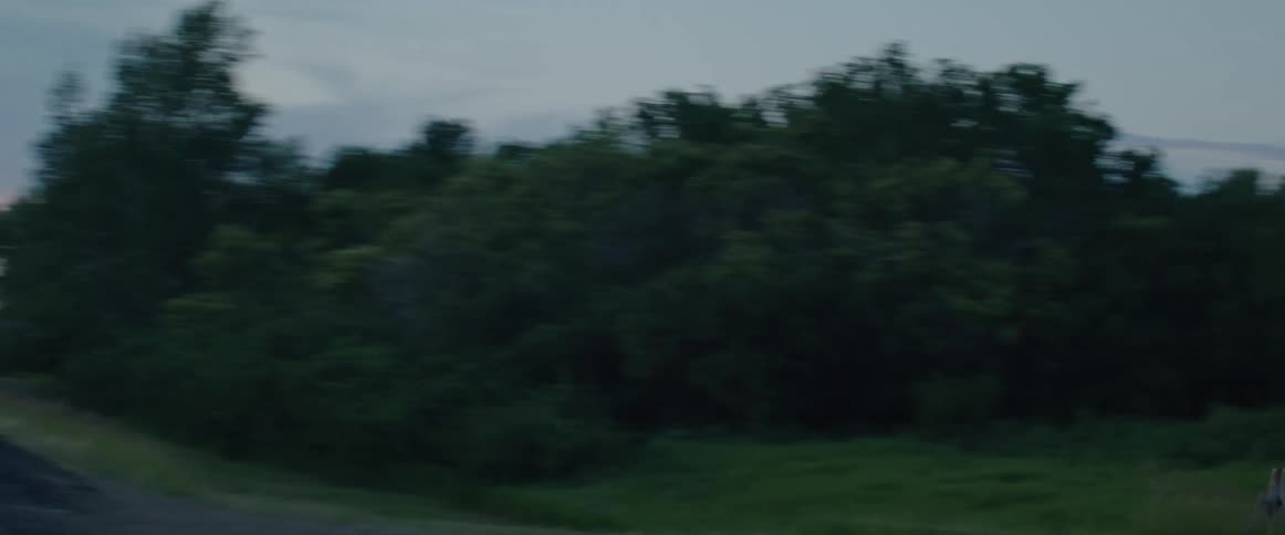 Deer running through a grass field and crossing the road at dusk