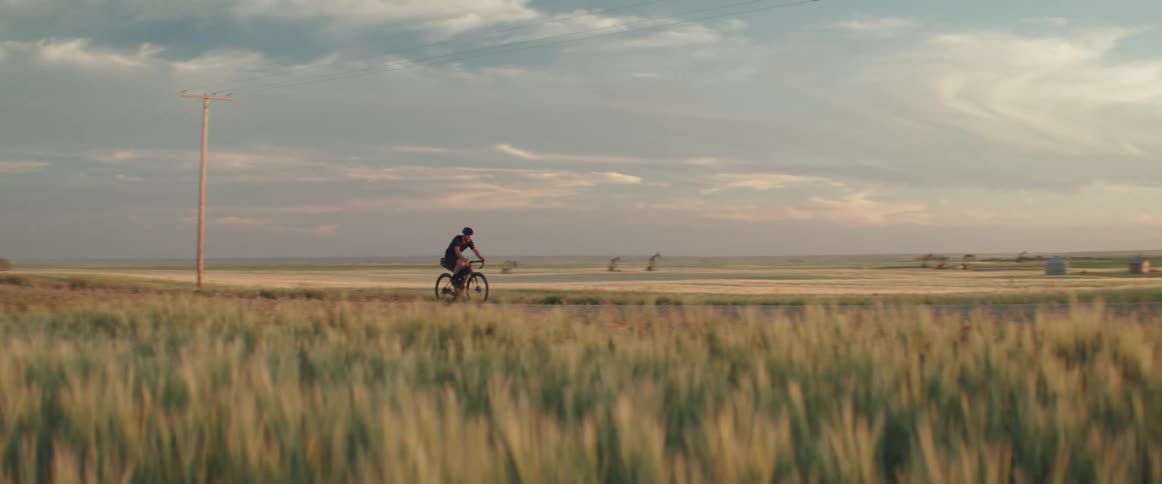 Male cyclist rides past sweeping wheat fields