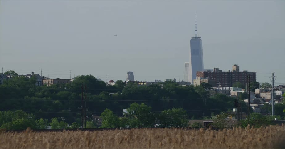Tall skyscrapers loom past an open field