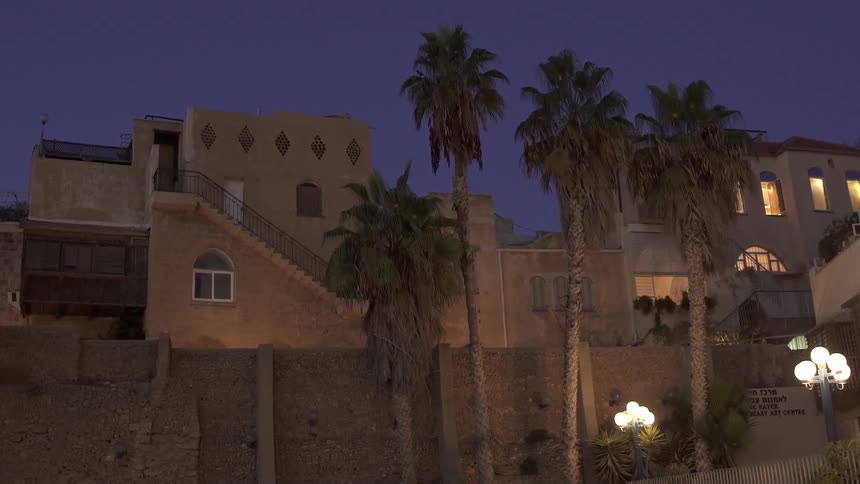 Stone buildings behind palm trees at dusk