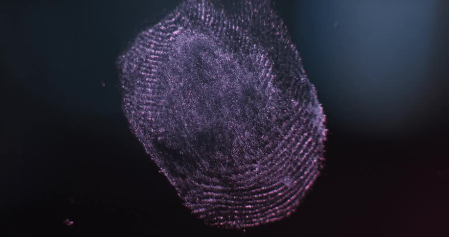 Red and blue lights flash over fingerprint on glass