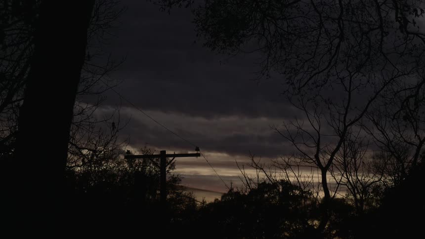 Gray clouds move across the sky above silhouettes of trees and telephone pole