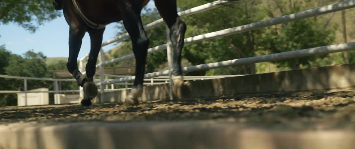 A horse galloping through a fenced in area on a ranch