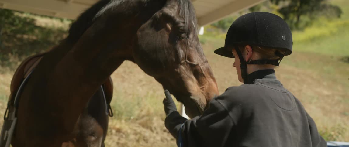 Equestrian removes halter from horse as they stand under small pavilion on a slope