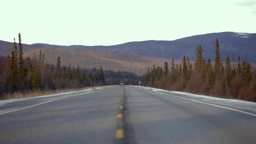Trees line a road in the wilderness