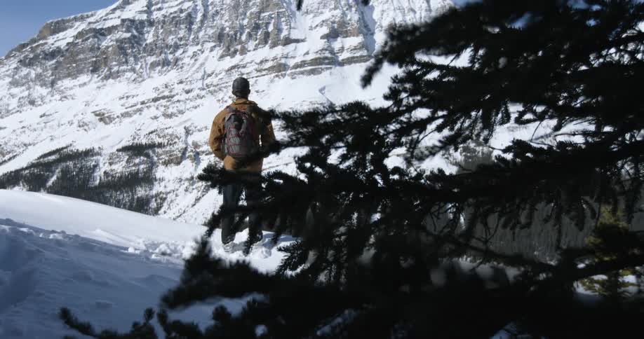 A man looks towards a snowy mountain in the wilderness