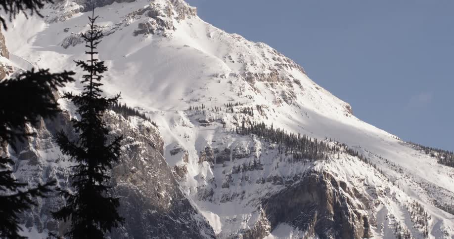 View of a large mountain covered with trees and snow