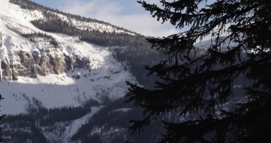 View of a mountain covered with snow and trees