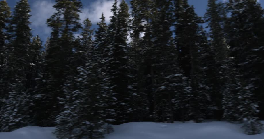 Moving past a dense forest on a hill