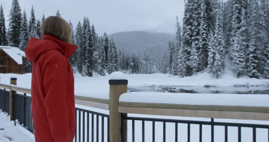 A woman is standing near a fence overlooking a snow covered forest