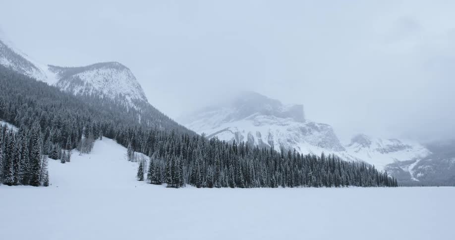 Snow falling in a wintry landscape