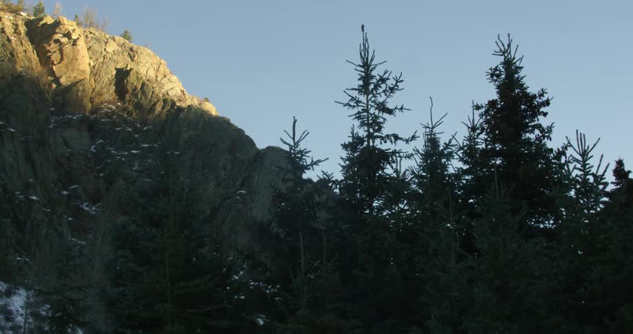 Trees line this tall cliff