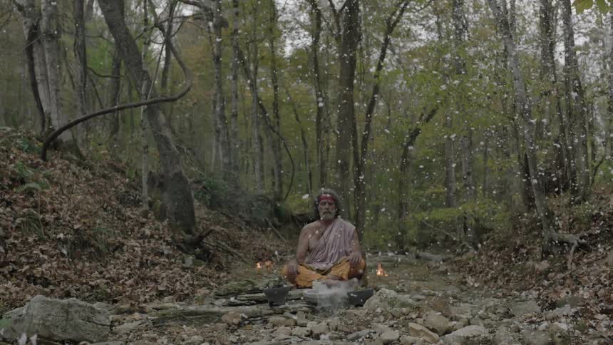 White debris falls around a man meditating on a forest floor