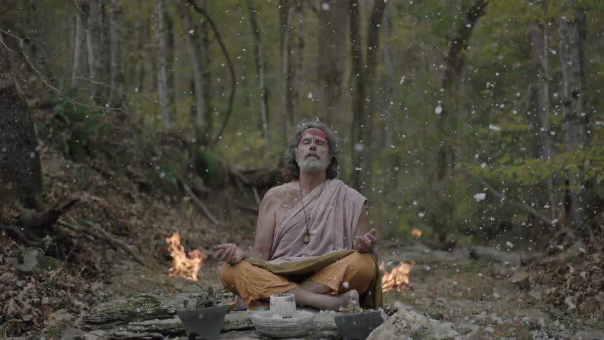 A man sits in a forest while ashes fall on him