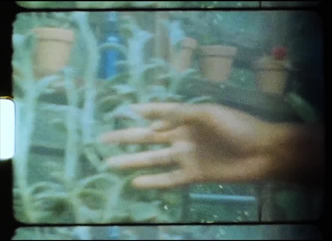 A woman is standing outside near a table with potted plants and feeling the leaves of the plants with her hand