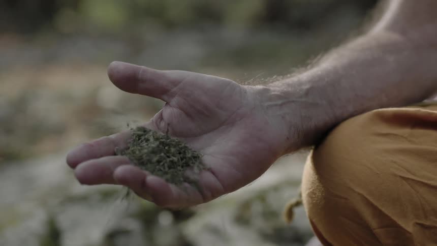 Crumbled leaves blow out of a man's hand