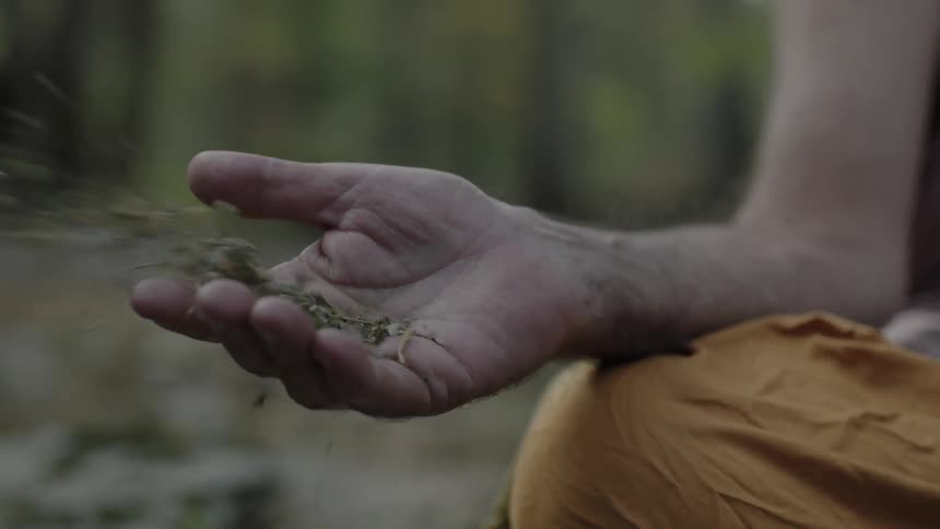 Leaves blow out of a man's hand