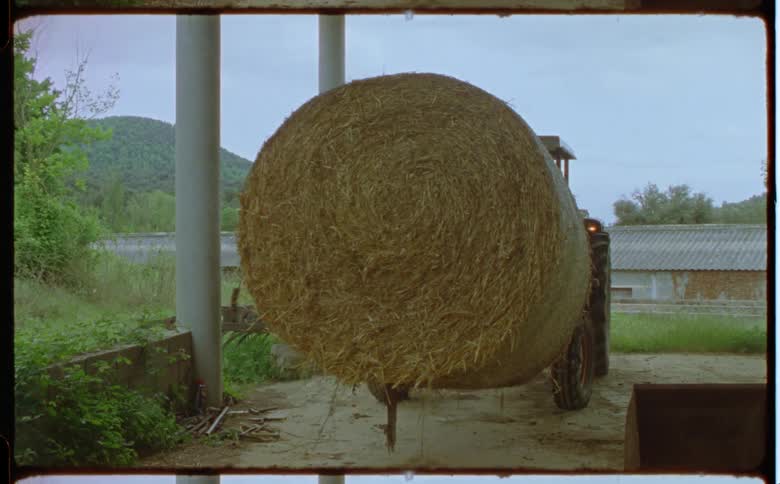 A farmer backs up a tractor carrying a large hay roll on a farm