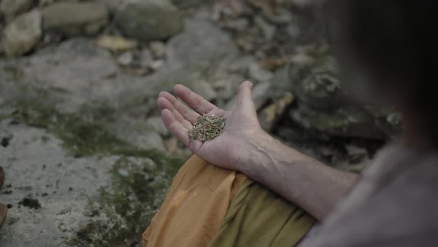 Person sitting and holding seeds in their hand