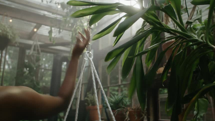 A woman is checking on the plants in the green house