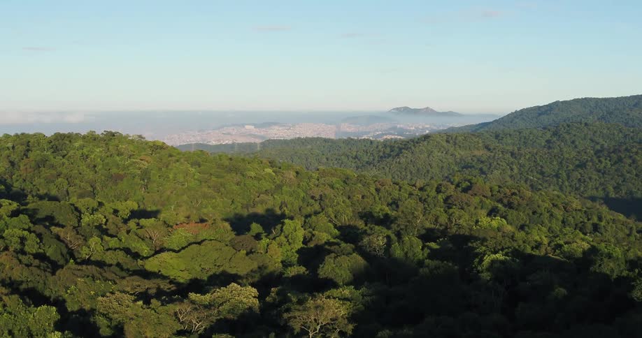 A thick lush forest covers mountain peaks with city in the backdrop