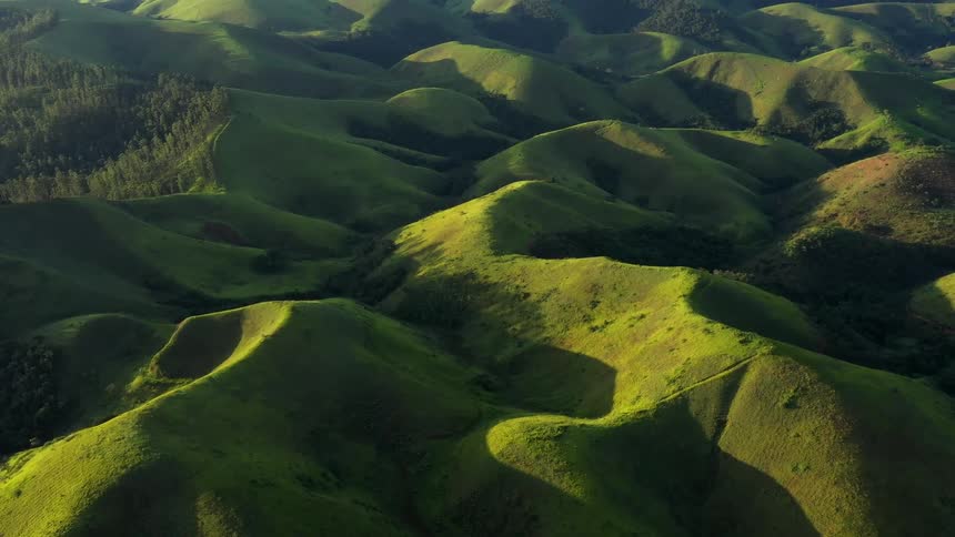 The sun shines on grass covered hills on mountains and a forest along the mountain ridge