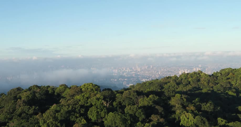 A tree covered ridge above clouds and a city below