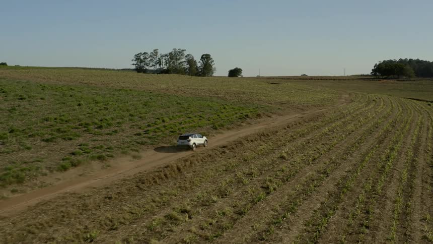 Suv drives along dirt road between crop fields under a clear blue sky