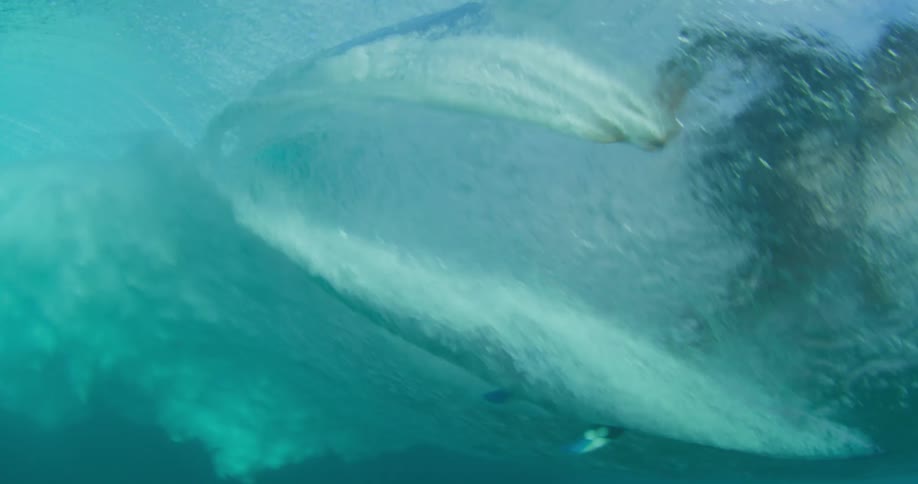 surfer pass by underwater
