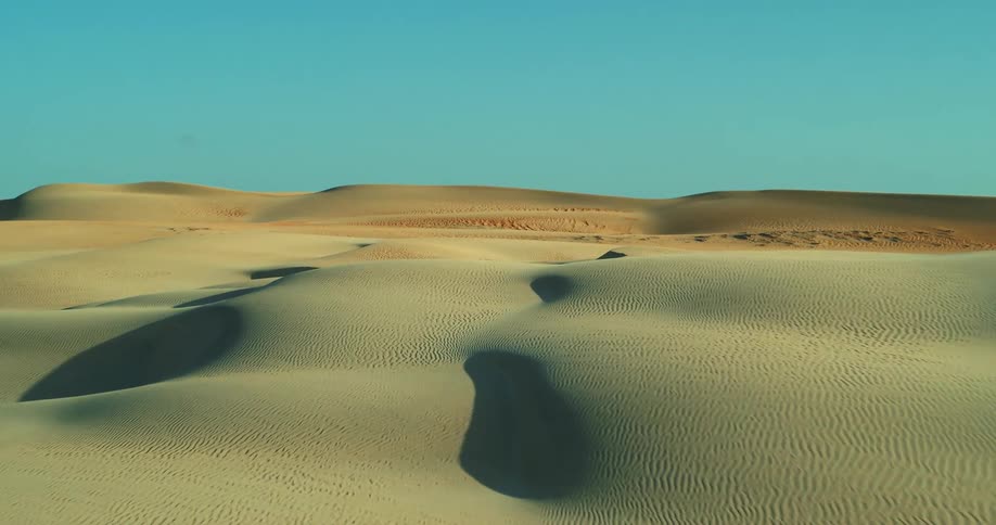 Sand dunes in a vast desert during the day