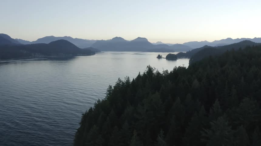 A forest is alongside a lake with mountains in the distance under a hazy sky