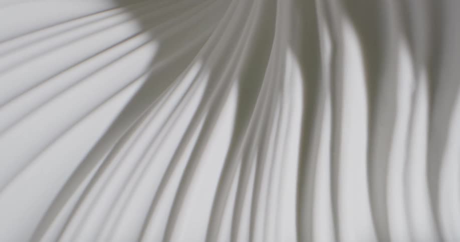 Abstract footage of white graphics moving