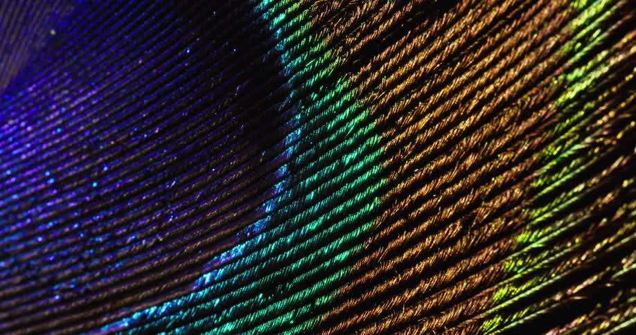 Rows of glowing colors move in the darkness and sparkle as the colors blend