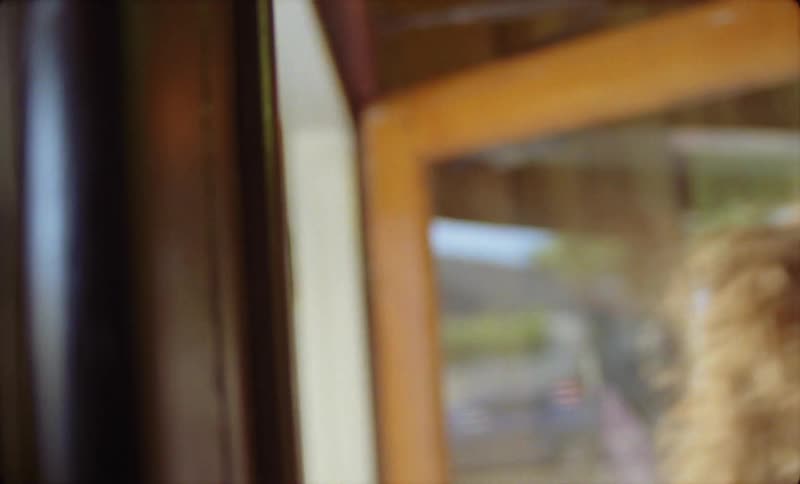 A bell on a string rings as as woman walks through the door of a business