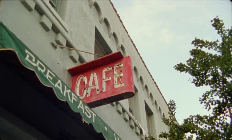 Branches on a tree are swaying as the wind is blowing outside a cafe