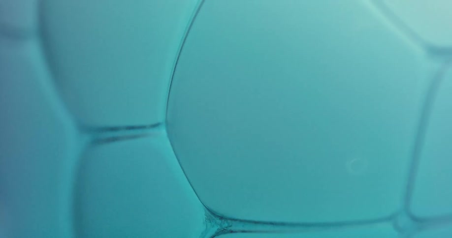 A view of bubbles and cells