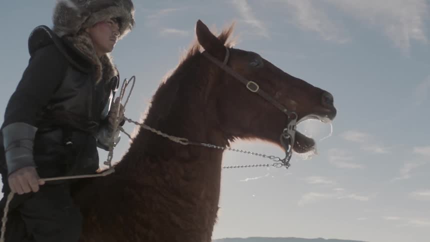 A man is riding a horse on a sunny day