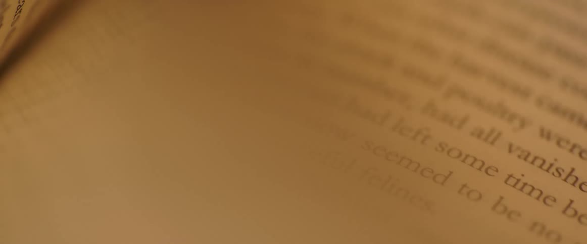 The pages of the book are being turned over
