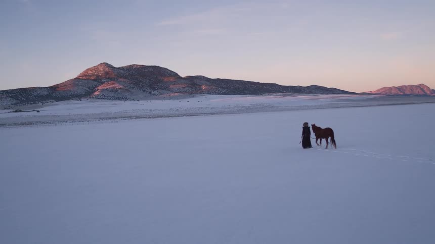 A man leads a horse across the snow