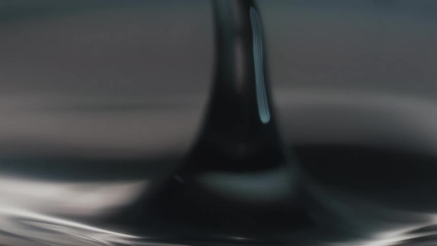 A view of water drops
