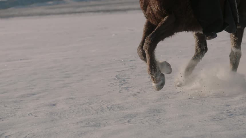 A horse is racing over a snow covered field