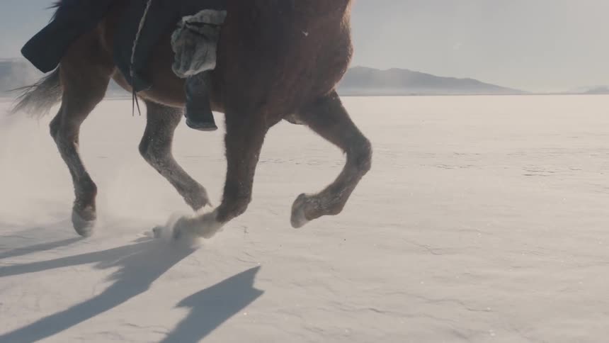 A man races a horse on a sunny day