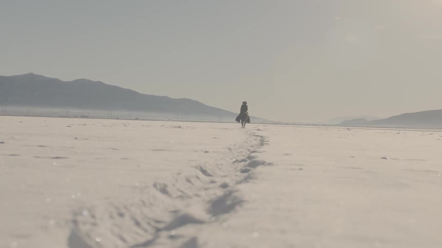 A horse is walking along a snow covered field