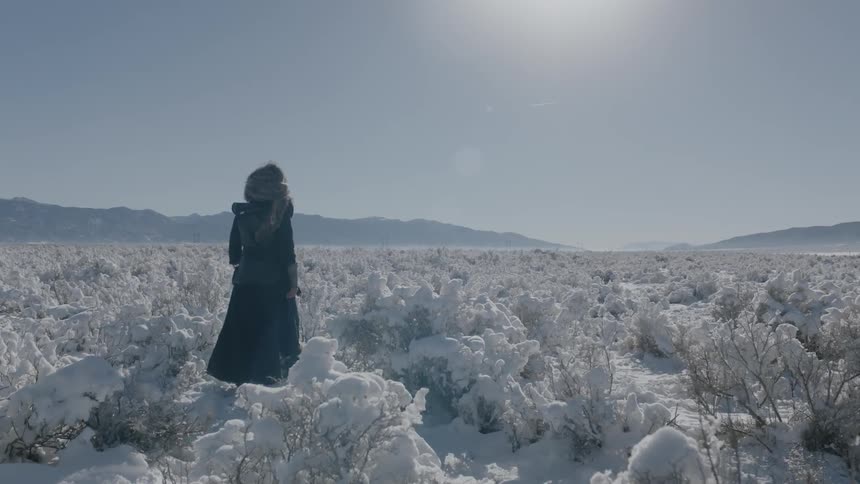 A person walks through a field of snow covered bushes